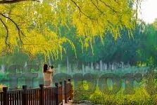 俄罗斯足球首场比分-俄罗斯足球首场比分，历史时刻的荣耀与期待